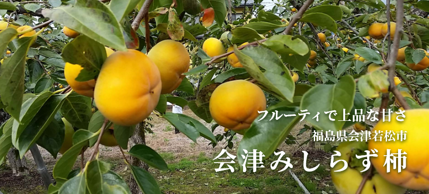 フルーティで上品な甘さ 福島県会津若松市 会津みしらず柿