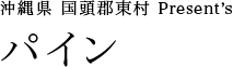 沖縄県 国頭郡東村 Present's パイン