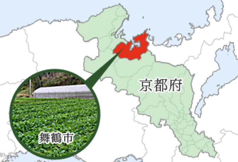 佐波賀だいこんの故郷
