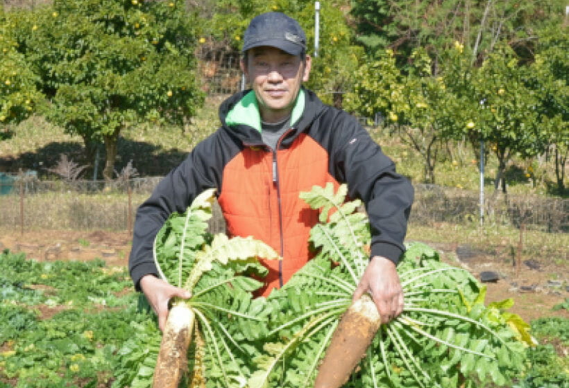 佐波賀だいこんを支える生産者