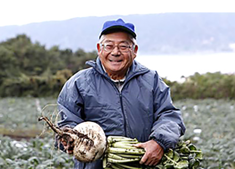 桜島大根は、どんな料理にも合う冬の万能野菜