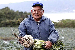 桜島大根は、どんな料理にも合う冬の万能野菜