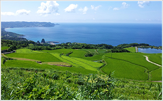 東後畑棚田