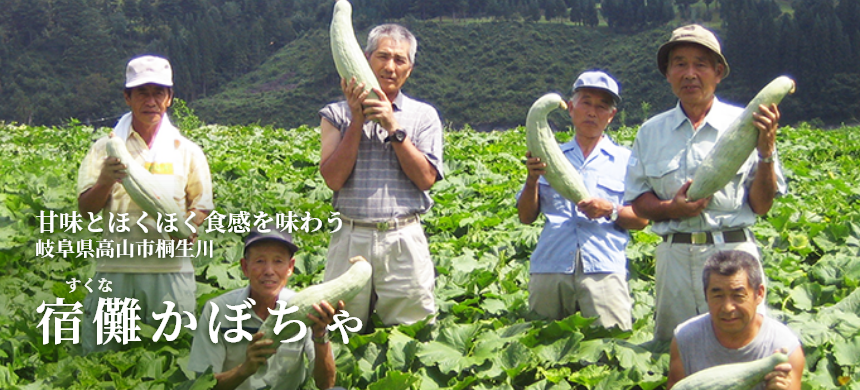 甘味とほくほく食感を味わう 岐阜県高山市桐生川 宿儺(すくな)かぼちゃ