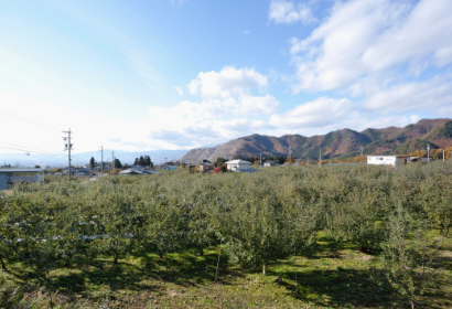 りんごの里、高山村