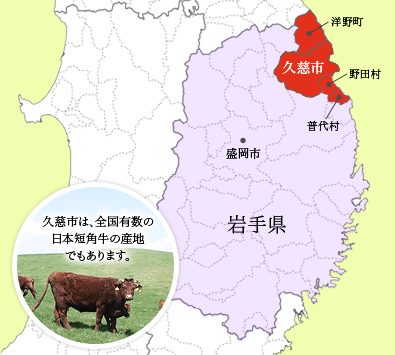 久慈市は、全国有数の日本短角牛の産地でもあります。