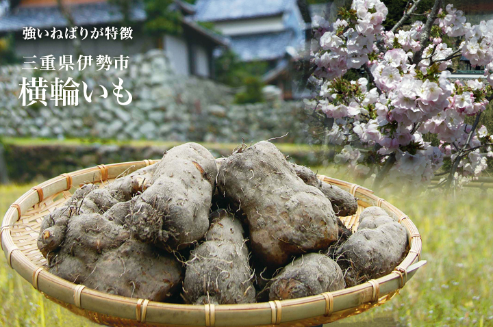 三重県 横輪いも フードアルチザンのおすすめ フードアルチザン